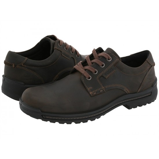 ECCO Men's Shoes Iron Plain Toe Tie-TEO-1561
